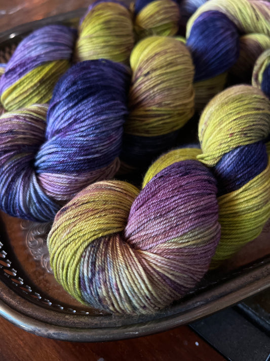 Blueberry Bush - Ready to Ship